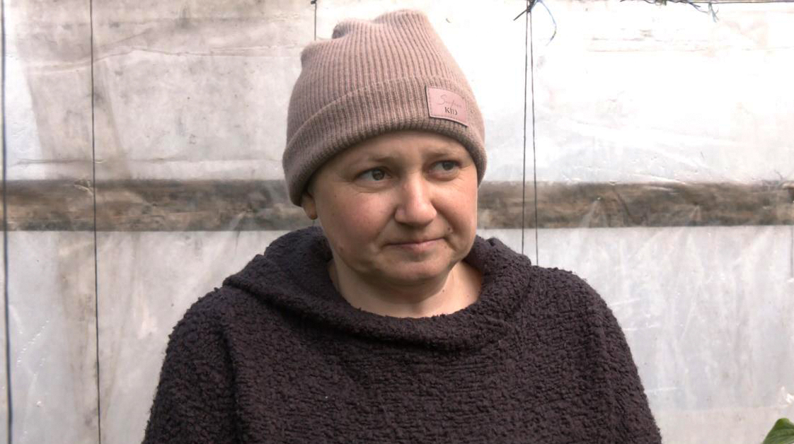 як Вирощують огірки