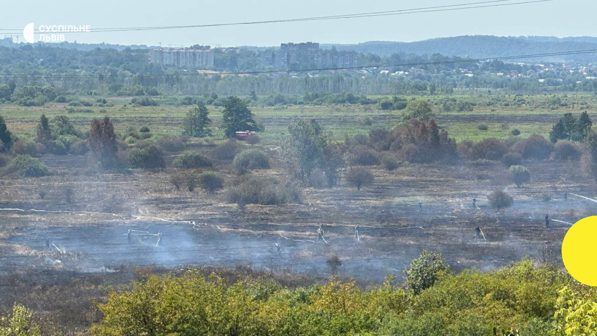 Торфові пожежі на Львівщині: тижні боротьби з підземним вогнем, який загрожує здоров’ю людей і знищує екосистеми
