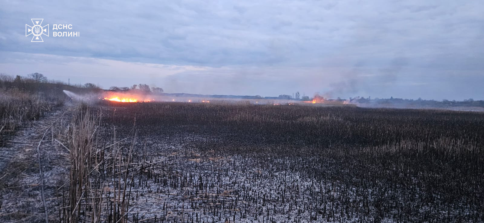 На Волині за добу ліквідували 4 пожежі: під час найбільшої вигоріли 2 га сухої трави та очерету