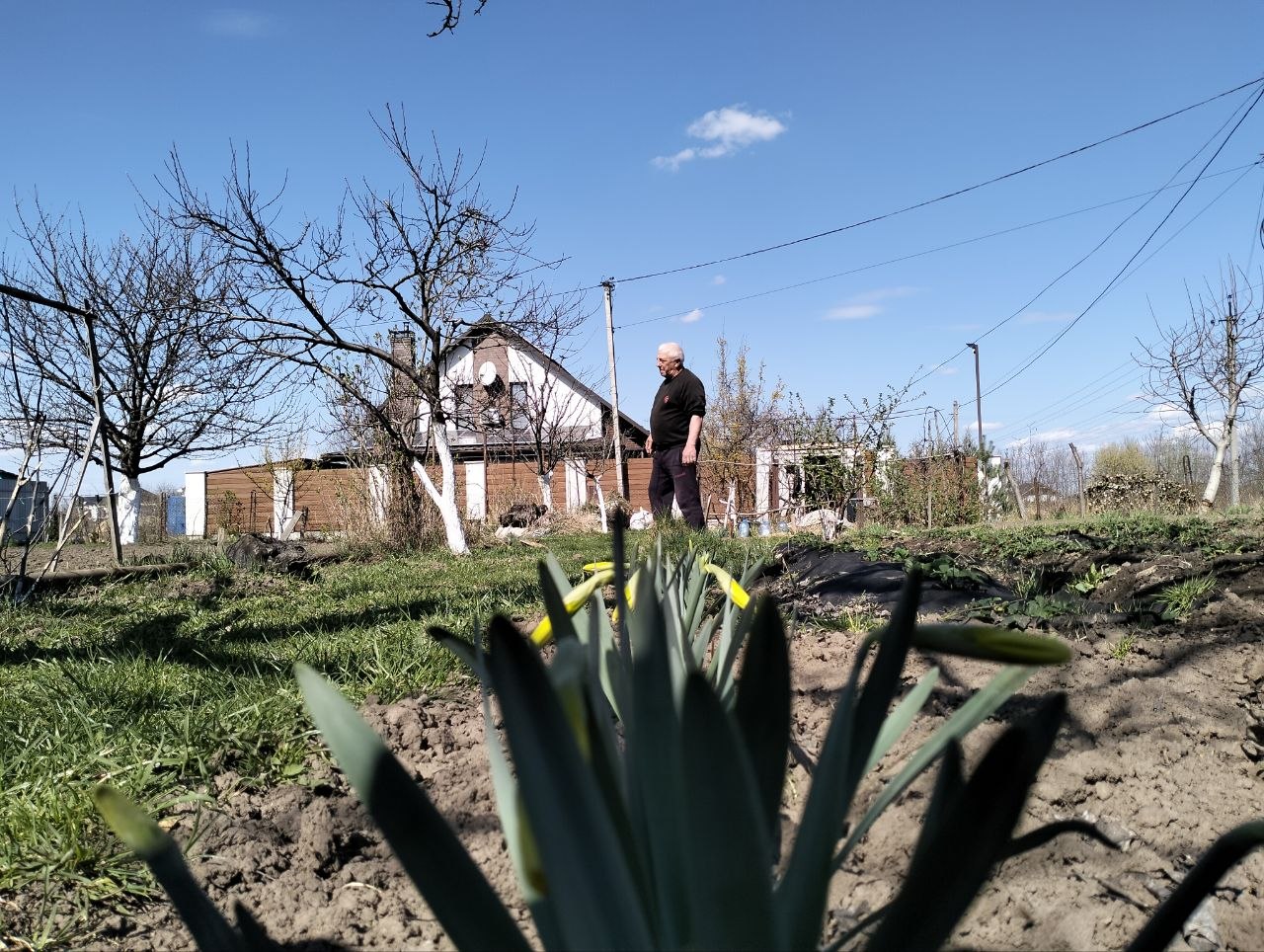 "Тягне сюди": садівники у Луцькій громаді готуються до дачного сезону
