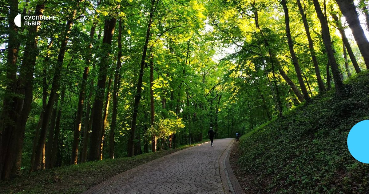 У Львові чоловік напав на школярку в парку: підозрюваного взяли під варту без права застави