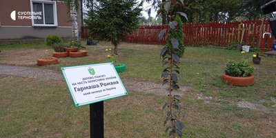 На Тернопільщині, відкрили меморіальну дошку, Роман Гарман, висадили дерево, меморіальна дошка, Світлана Гуменна На Тернопільщині, відкрили меморіальну дошку, Роман Гарман, висадили дерево, меморіальна дошка, Світлана Гуменна