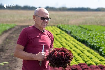«Салат — моя справа»: як ветеран із Запоріжжя відродив бізнес на Одещині