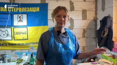 Кліпса на вусі, вакцинація та доба на перетримці: як стерилізують безпритульних тварин в Ізмаїлі Кліпса на вусі, вакцинація та доба на перетримці: як стерилізують безпритульних тварин в Ізмаїлі