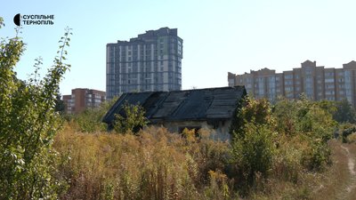 Хащі, сміття та постійні пожежі: що з дачами на Тарнавського в Тернополі Хащі, сміття та постійні пожежі: що з дачами на Тарнавського в Тернополі