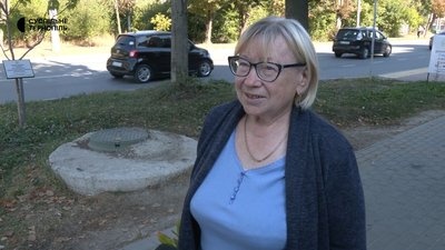 Хащі, сміття та постійні пожежі: що з дачами на Тарнавського в Тернополі Хащі, сміття та постійні пожежі: що з дачами на Тарнавського в Тернополі