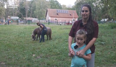 Поні, зоокуток, тварини, міжнародний сертифікат, тернопільський парк, 1 жовтня 2026 року Поні, зоокуток, тварини, міжнародний сертифікат, тернопільський парк, 1 жовтня 2026 року