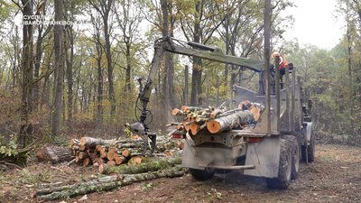 Дрова на опалювальний сезон: скільки коштують і чому їх бракує на Одещині Дрова на опалювальний сезон: скільки коштують і чому їх бракує на Одещині