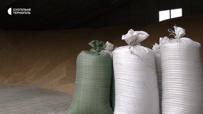 Зерно, мішки зерна, зерно на складі Зерно, мішки зерна, зерно на складі