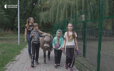 Поні, зоокуток, тварини, міжнародний сертифікат, тернопільський парк, 1 жовтня 2026 року Поні, зоокуток, тварини, міжнародний сертифікат, тернопільський парк, 1 жовтня 2026 року