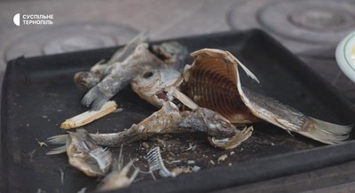 риба, сушена риба, карасі, таранька, як сушити рибу риба, сушена риба, карасі, таранька, як сушити рибу