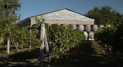 До 450 тонн вина на рік: як працює виноробня у Болградському районі на Одещині До 450 тонн вина на рік: як працює виноробня у Болградському районі на Одещині