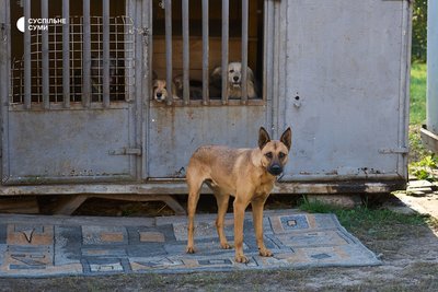 притулок хостел притулок хостел