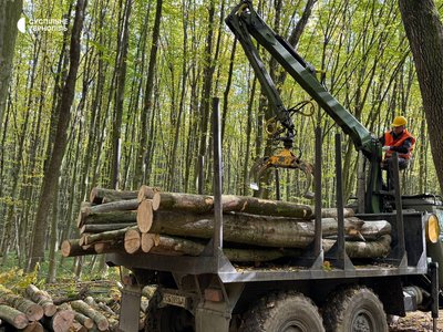 На Тернопільщині, у лісництвах, попит на дрова, продають дрова, купують дрова, 13 жовтня 2026 року На Тернопільщині, у лісництвах, попит на дрова, продають дрова, купують дрова, 13 жовтня 2026 року