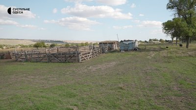 Від Киргиж-Китаю залишилося сухе русло: що відбувається з водою та лісом у Задунаївці на Одещині Від Киргиж-Китаю залишилося сухе русло: що відбувається з водою та лісом у Задунаївці на Одещині