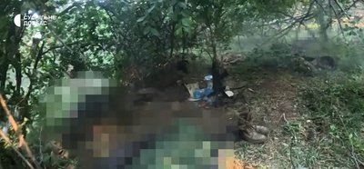 жорін з азову жорін з азову