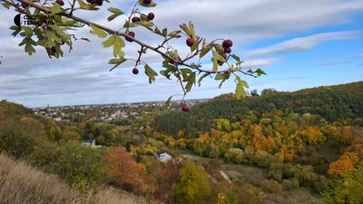 Бабина гора, осінь