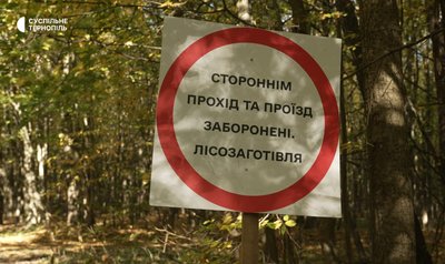 На Тернопільщині, у лісництвах, попит на дрова, продають дрова, купують дрова, 13 жовтня 2026 року На Тернопільщині, у лісництвах, попит на дрова, продають дрова, купують дрова, 13 жовтня 2026 року