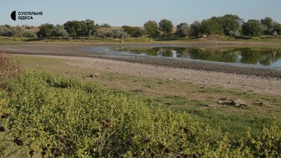 Від Киргиж-Китаю залишилося сухе русло: що відбувається з водою та лісом у Задунаївці на Одещині Від Киргиж-Китаю залишилося сухе русло: що відбувається з водою та лісом у Задунаївці на Одещині