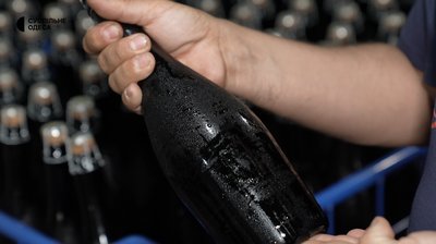 До 450 тонн вина на рік: як працює виноробня у Болградському районі на Одещині До 450 тонн вина на рік: як працює виноробня у Болградському районі на Одещині
