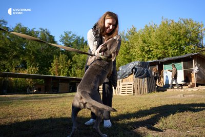 притулок хостел притулок хостел