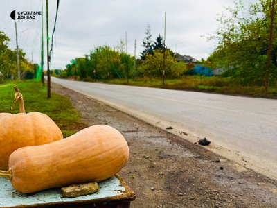 «Збираємось зимувати та чекаємо перемоги». Як живуть люди у прифронтовій Дмитрівці під Краматорськом «Збираємось зимувати та чекаємо перемоги». Як живуть люди у прифронтовій Дмитрівці під Краматорськом