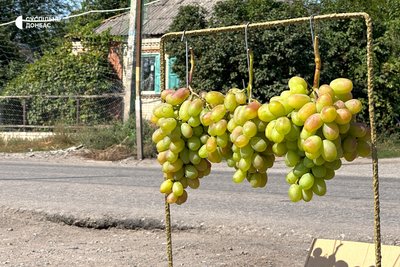«Всі думки, що треба все лишити…». Як жителька Билбасівки готується до евакуації після бомбардування «Всі думки, що треба все лишити…». Як жителька Билбасівки готується до евакуації після бомбардування
