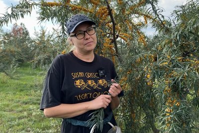 «Тут спокій»: волинянка у декреті вирощує обліпиху «Тут спокій»: волинянка у декреті вирощує обліпиху