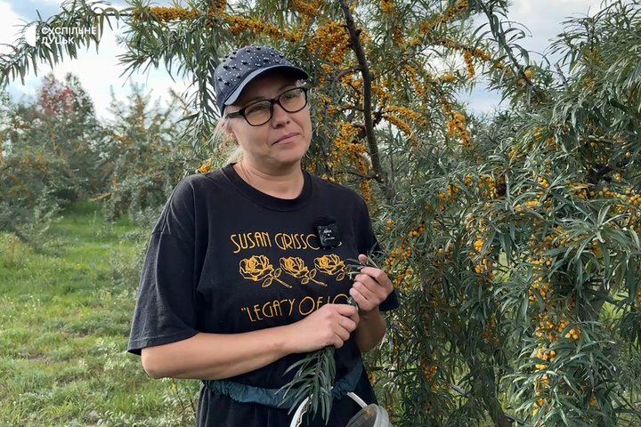 «Тут спокій»: волинянка у декреті вирощує обліпиху «Тут спокій»: волинянка у декреті вирощує обліпиху