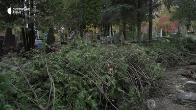 Зруйновані могили, зламані дерева: наслідки удару безпілотника по кладовищу у Рівному Зруйновані могили, зламані дерева: наслідки удару безпілотника по кладовищу у Рівному
