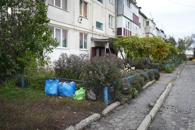 Підвищення тарифів та відсутність баків: жителі Старого села скаржаться на організацію вивезення сміття Підвищення тарифів та відсутність баків: жителі Старого села скаржаться на організацію вивезення сміття