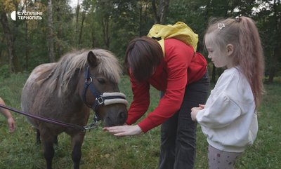 Поні, зоокуток, тварини, міжнародний сертифікат, тернопільський парк, 1 жовтня 2026 року Поні, зоокуток, тварини, міжнародний сертифікат, тернопільський парк, 1 жовтня 2026 року