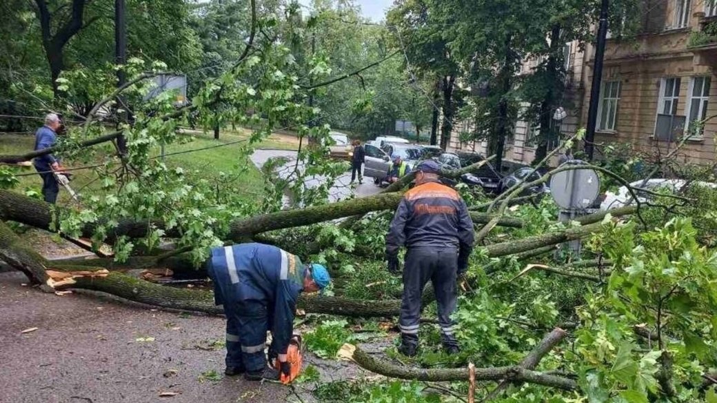 Буревій у Львові: повалене дерево на площі Святого Юра порушило рух тролейбусів, а негода залишила без світла майже 120 населених пунктів області