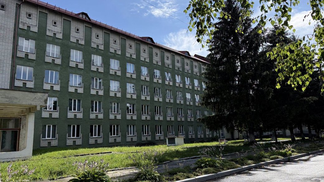 Однорічна дівчинка з Львівщини потрапила до реанімації після того, як з’їла гриби, знайдені на подвір’ї