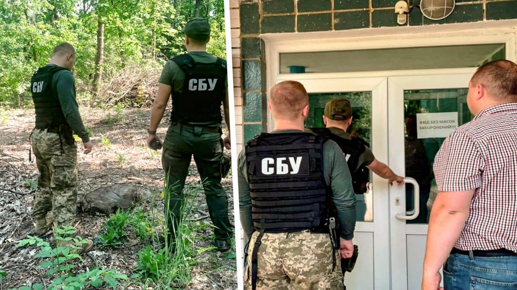 Директорці ландшафтного парку на Кіровоградщині оголосили про підозру у вирубці дерев – СБУ