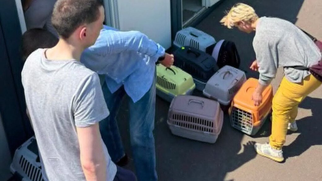 Після ракетного удару по Львову: сім’я з 14 котами отримала прихисток у модульному містечку, а місто подбало про всіх постраждалих та їхніх улюбленців