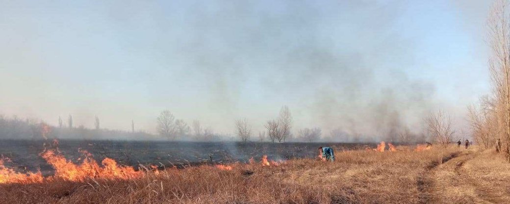 Пожежа під Олешками на Херсонщині. Міський голова закликає жителів допомогти рятувати територію