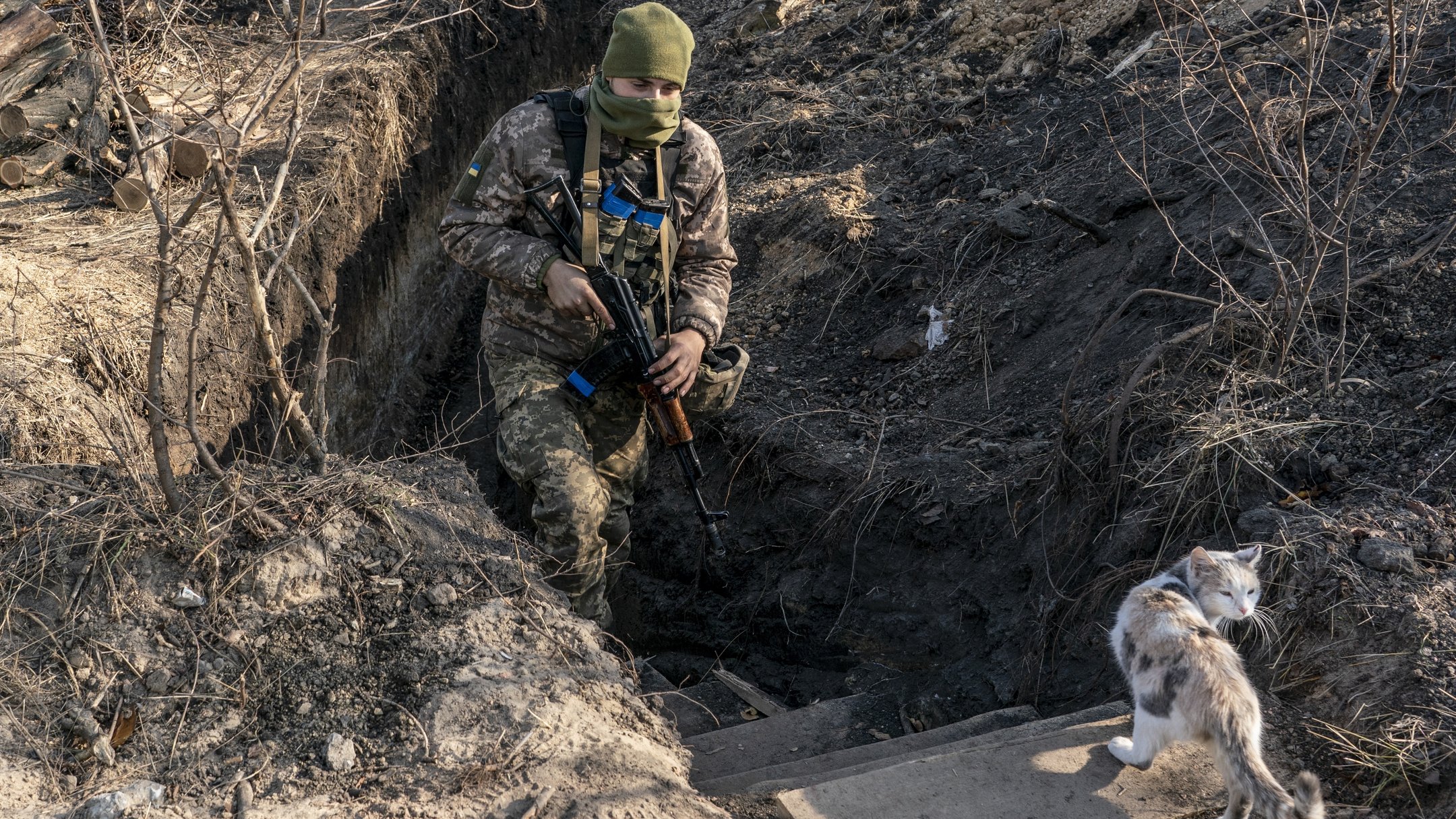 Боевые действия сегодня рутубе. Военные в траншеи на Донбассе. Животные на войне в Донбассе.