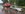 Злива у Полтаві: рятувальники витягають автівки на затопленій вулиці