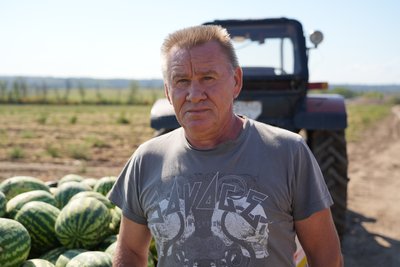 "І дрони літають, і артилерія обстрілює". Як вирощують кавуни у прифронтовому Марганці на Дніпропетровщині "І дрони літають, і артилерія обстрілює". Як вирощують кавуни у прифронтовому Марганці на Дніпропетровщині