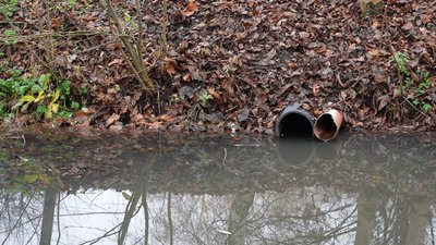 У Хмельницькому виявили витік стоків у канал парку імені Михайла Чекмана