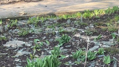 "Це був просто жах": у Глухові люди оговтуються після російської атаки "Це був просто жах": у Глухові люди оговтуються після російської атаки