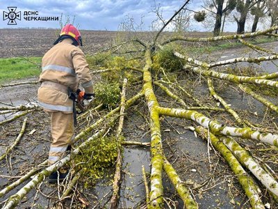 Негода у Черкасах: внаслідок падіння дерева загинула жінка Негода у Черкасах: внаслідок падіння дерева загинула жінка