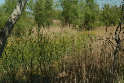 Каховське водосховище – пастка для військових РФ: як Сили оборони зривають штурми на Оріхівському напрямку Каховське водосховище – пастка для військових РФ: як Сили оборони зривають штурми на Оріхівському напрямку