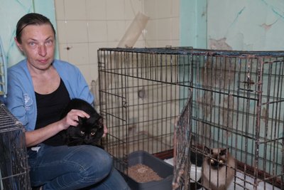 У Херсоні коти, врятовані з палаючого будинку, чекають на господарів із лікарні У Херсоні коти, врятовані з палаючого будинку, чекають на господарів із лікарні