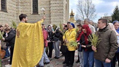 "Це велике свято": у Черкасах містяни освятили вербу