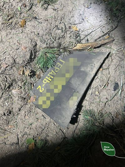 Лісництва на Житомирщині потрапили в зону ураження під час нічної атаки 9 липня по Україні Лісництва на Житомирщині потрапили в зону ураження під час нічної атаки 9 липня по Україні