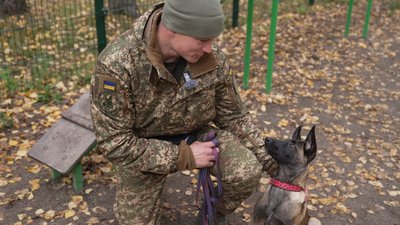 Собака на службі: у кінологічному підрозділі Нацгвардії у Чернігові з`явилися нові цуценят Собака на службі: у кінологічному підрозділі Нацгвардії у Чернігові з`явилися нові цуценят