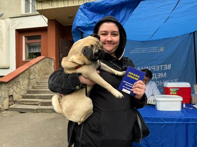 ванкинація від сказу, щеплення собак ванкинація від сказу, щеплення собак