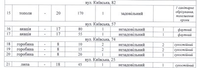 В Житомирі зріжуть ще понад 300 дерев, частину з них — в центрі міста В Житомирі зріжуть ще понад 300 дерев, частину з них — в центрі міста
